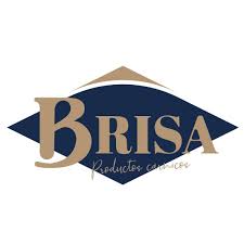Logo Brisa